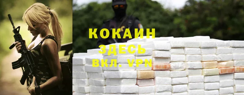 Cocaine FishScale  Межгорье 